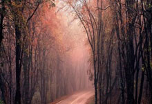 影子该选手崛起，能否逆袭？