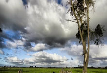 影子该选手崛起，能否逆袭？