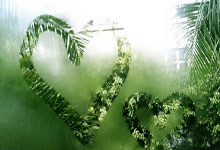 影子该选手崛起，能否逆袭？