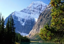 影子该选手崛起，能否逆袭？