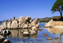 高尔山马赢得比赛，积分榜飙升