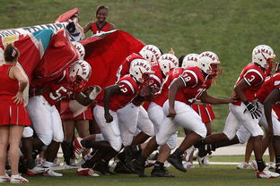 爱游戏app-国家队技战术水平提升瓶颈，国家技巧队